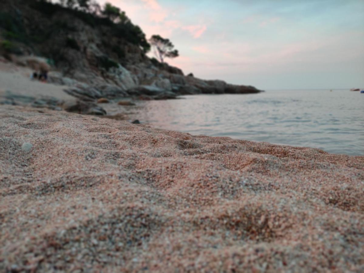 Apartamento Con Piscina - Tossa - Magnificas Vistas Al Mar Girona Kültér fotó